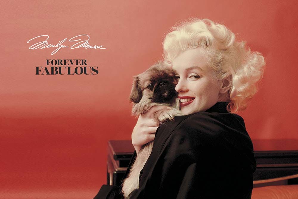 Imagen de la colección Forever Fabulous Marilyn Monroe
